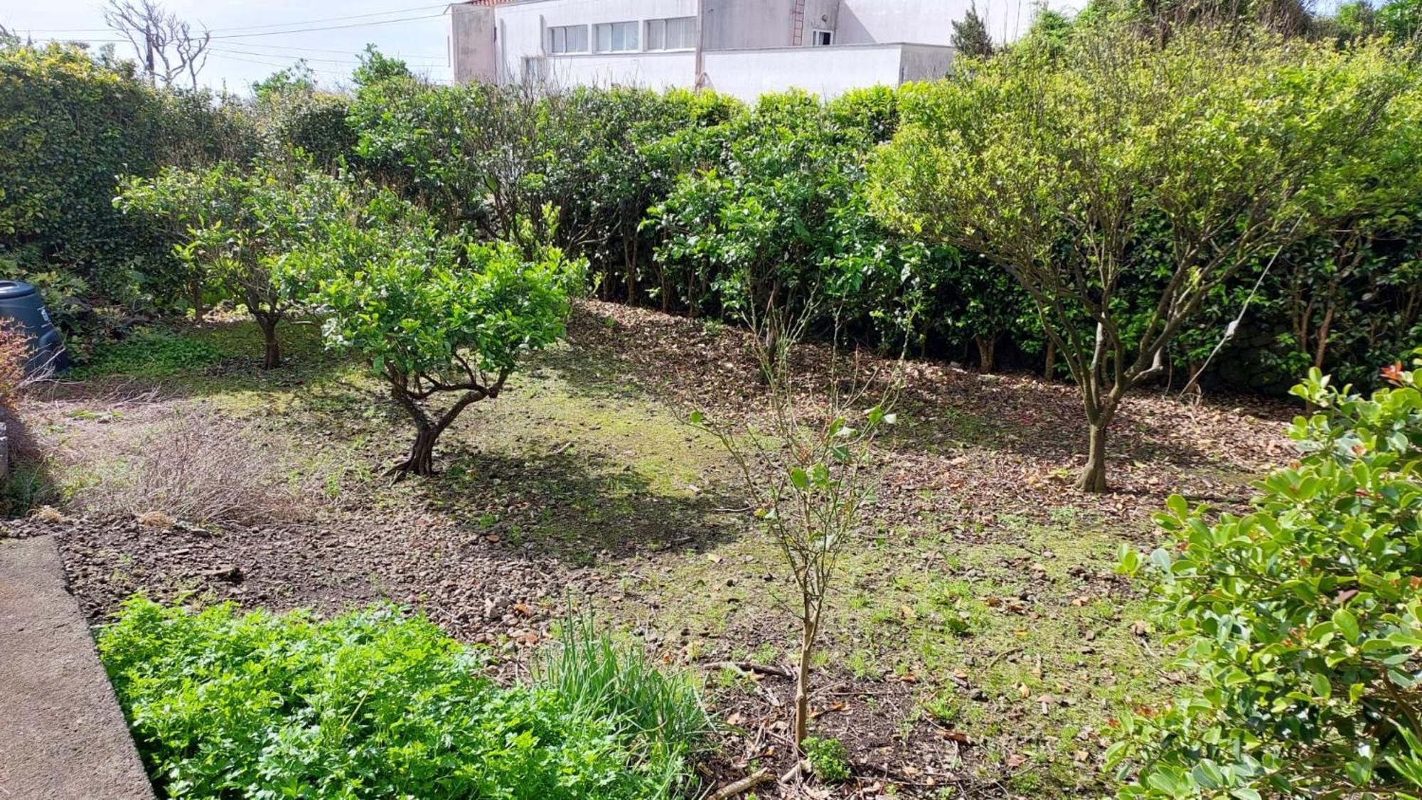 Retiro Das Camelias 1 Lajes das Flores Eksteriør billede
